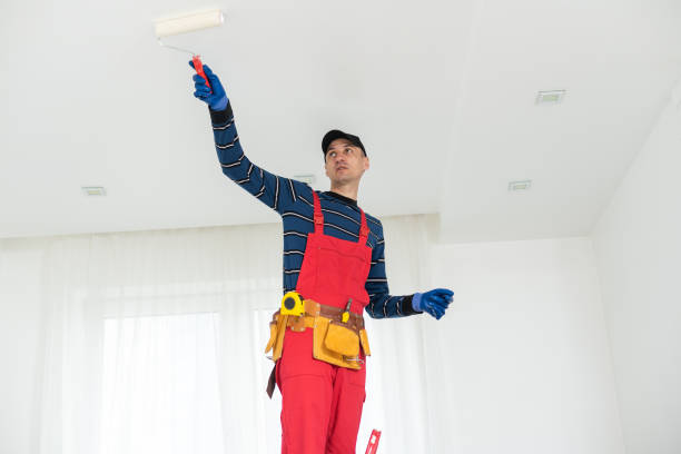 Best Commercial Painting Services  in Burley, ID